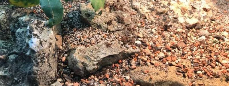 Akcesoria do terrarium