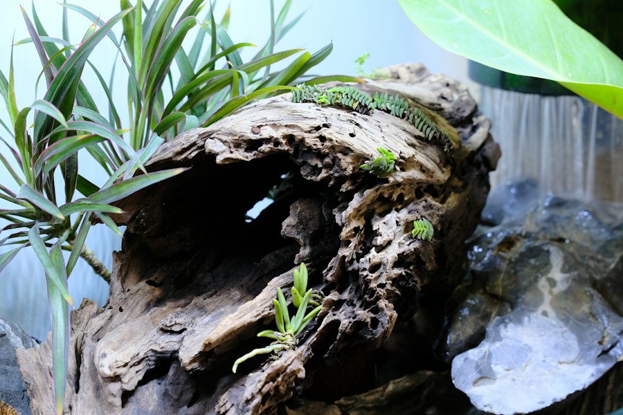 kryjówki do terrarium