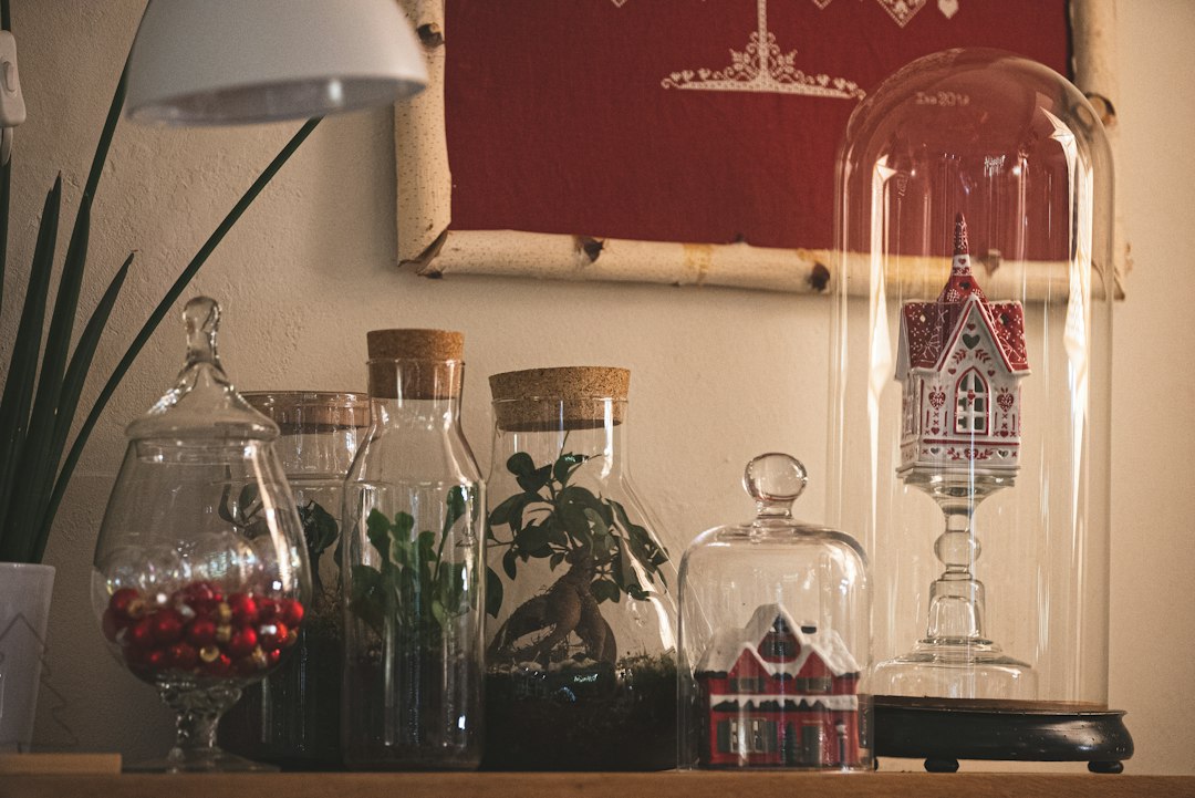 Photo terrarium hides decorations design functional interior
